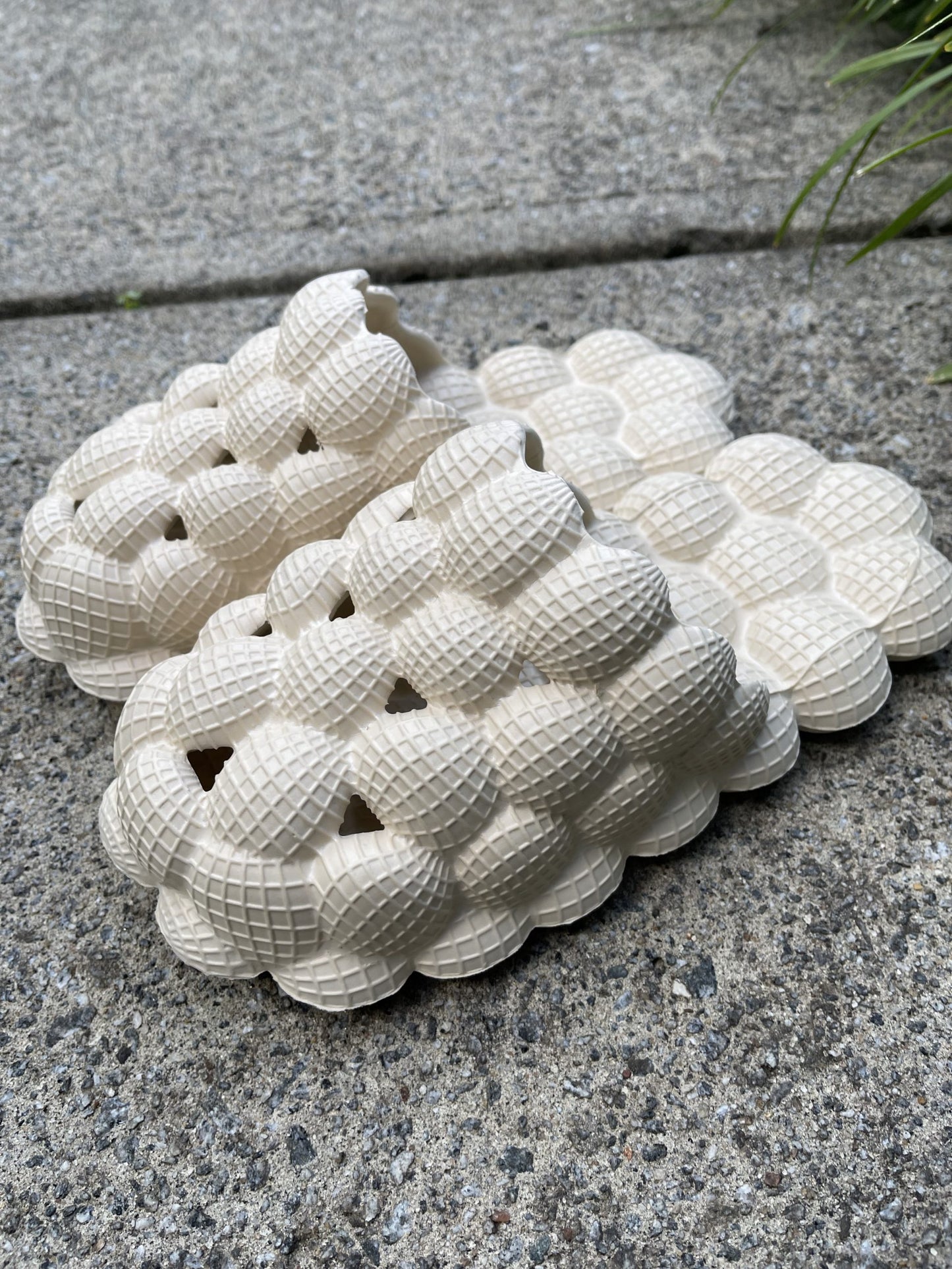 Bee Hive - Shoe Snobb
